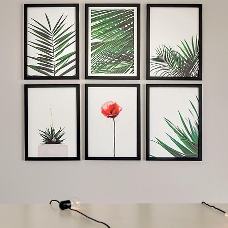 Studio Baltica Brzezno กดัญสก์ ภายนอก รูปภาพ